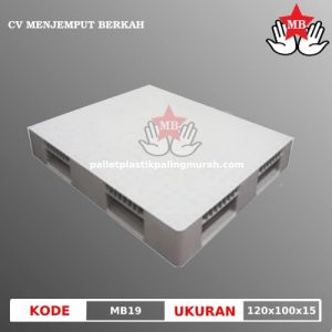 Pallet Plastik Baru MB19